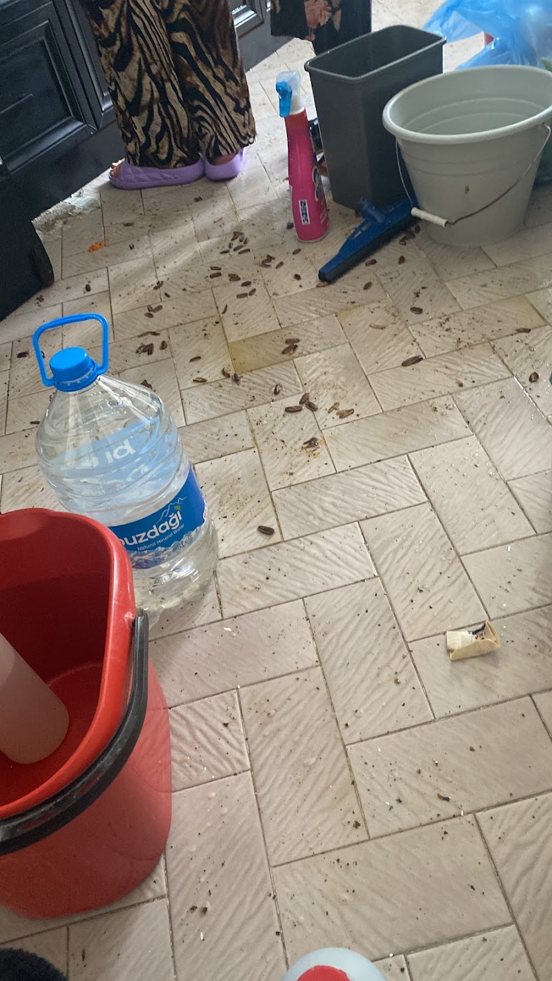 WhatsApp ile iletişim