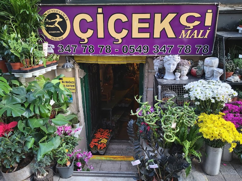 WhatsApp ile iletişim