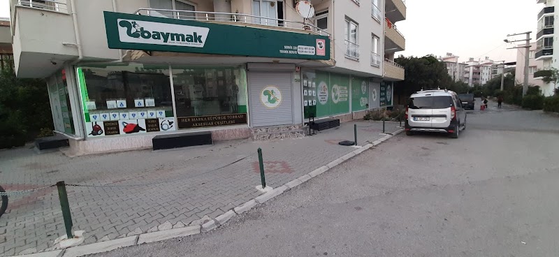 WhatsApp ile iletişim
