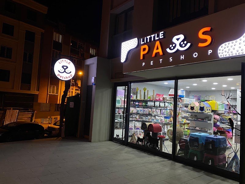 WhatsApp ile iletişim