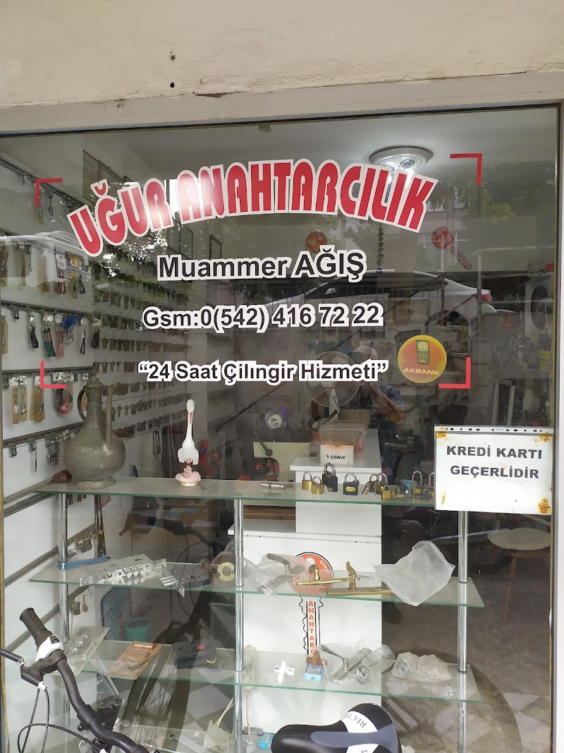 WhatsApp ile iletişim