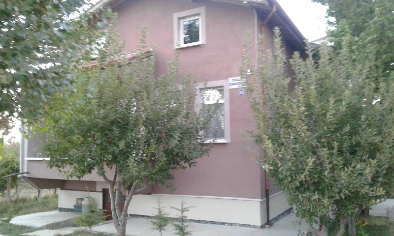 WhatsApp ile iletişim