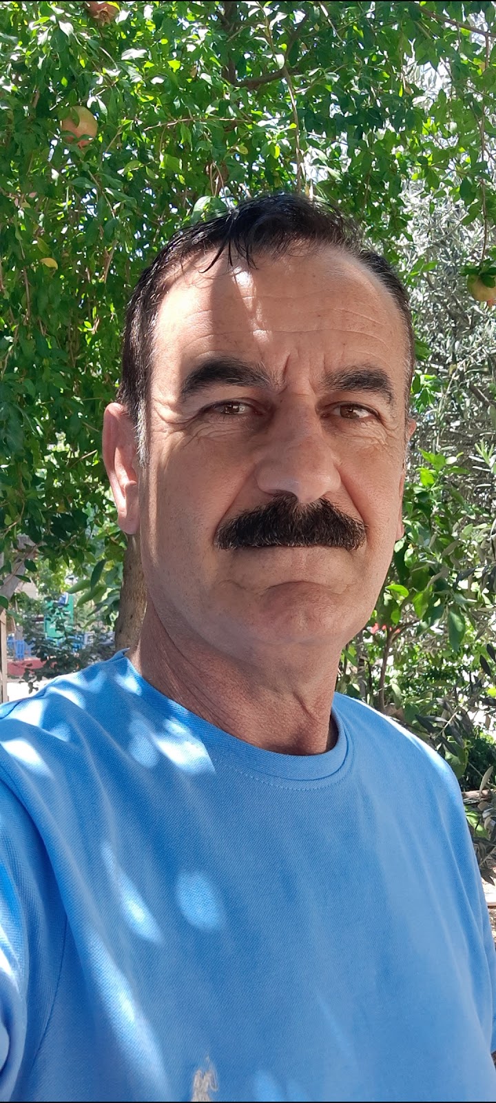 WhatsApp ile iletişim