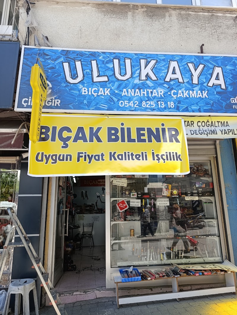 WhatsApp ile iletişim