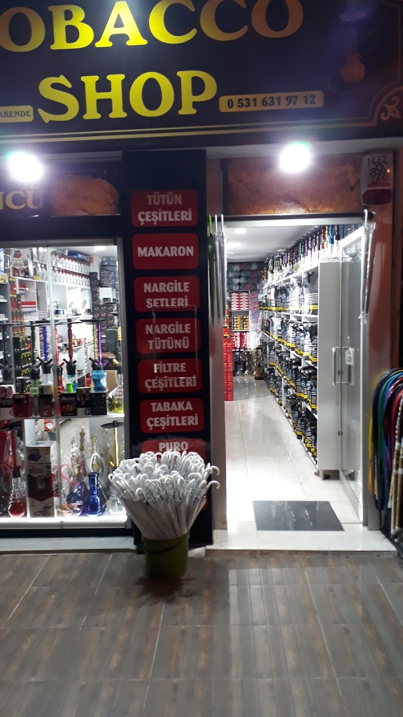 WhatsApp ile iletişim