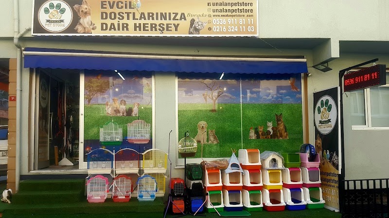 WhatsApp ile iletişim