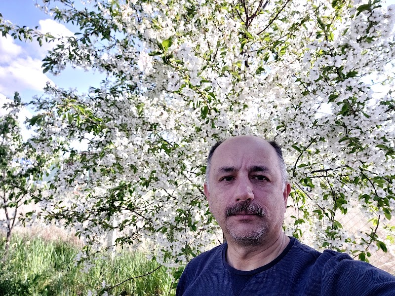 WhatsApp ile iletişim