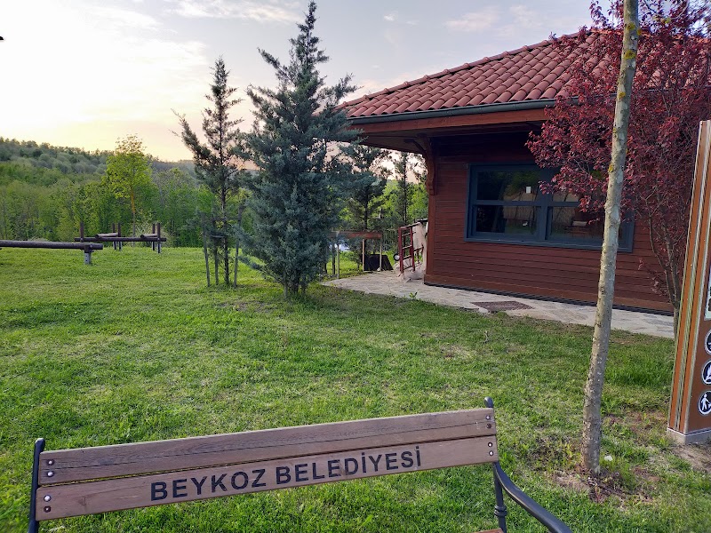 WhatsApp ile iletişim