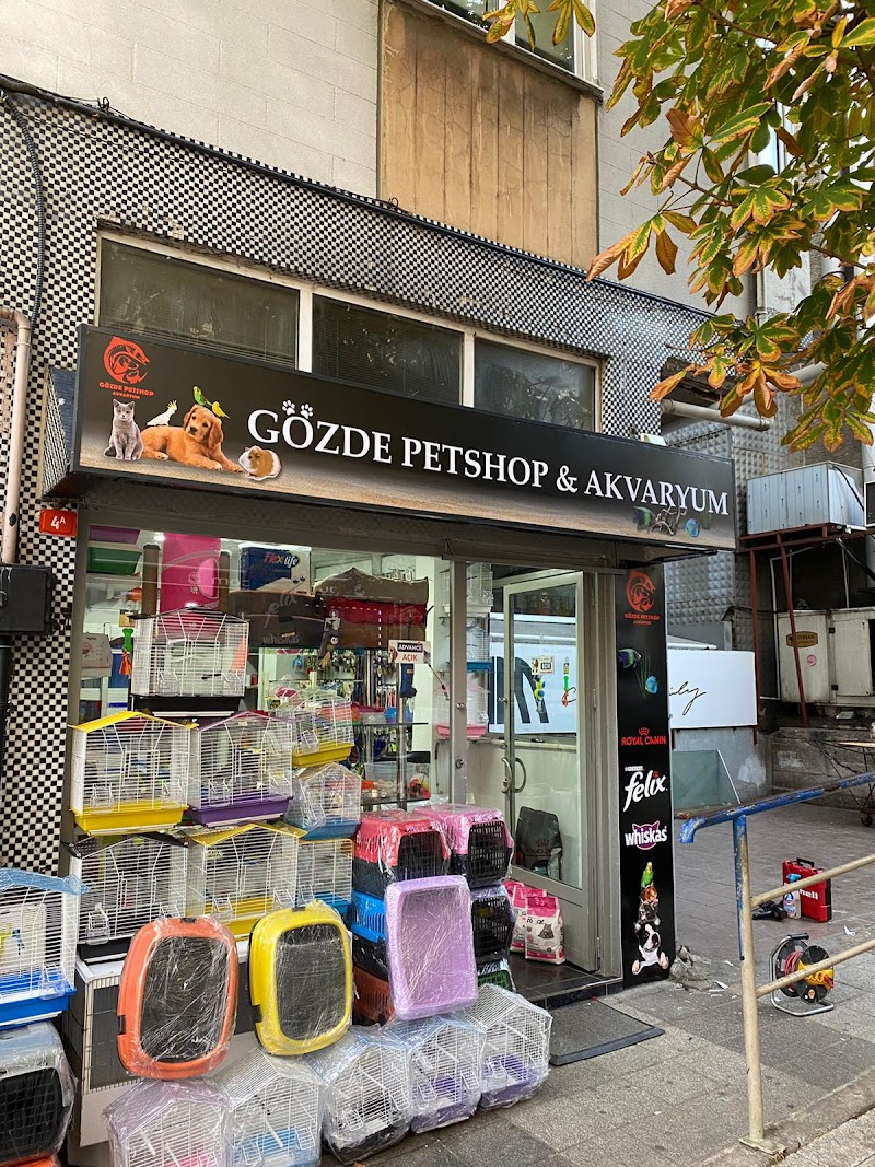 WhatsApp ile iletişim