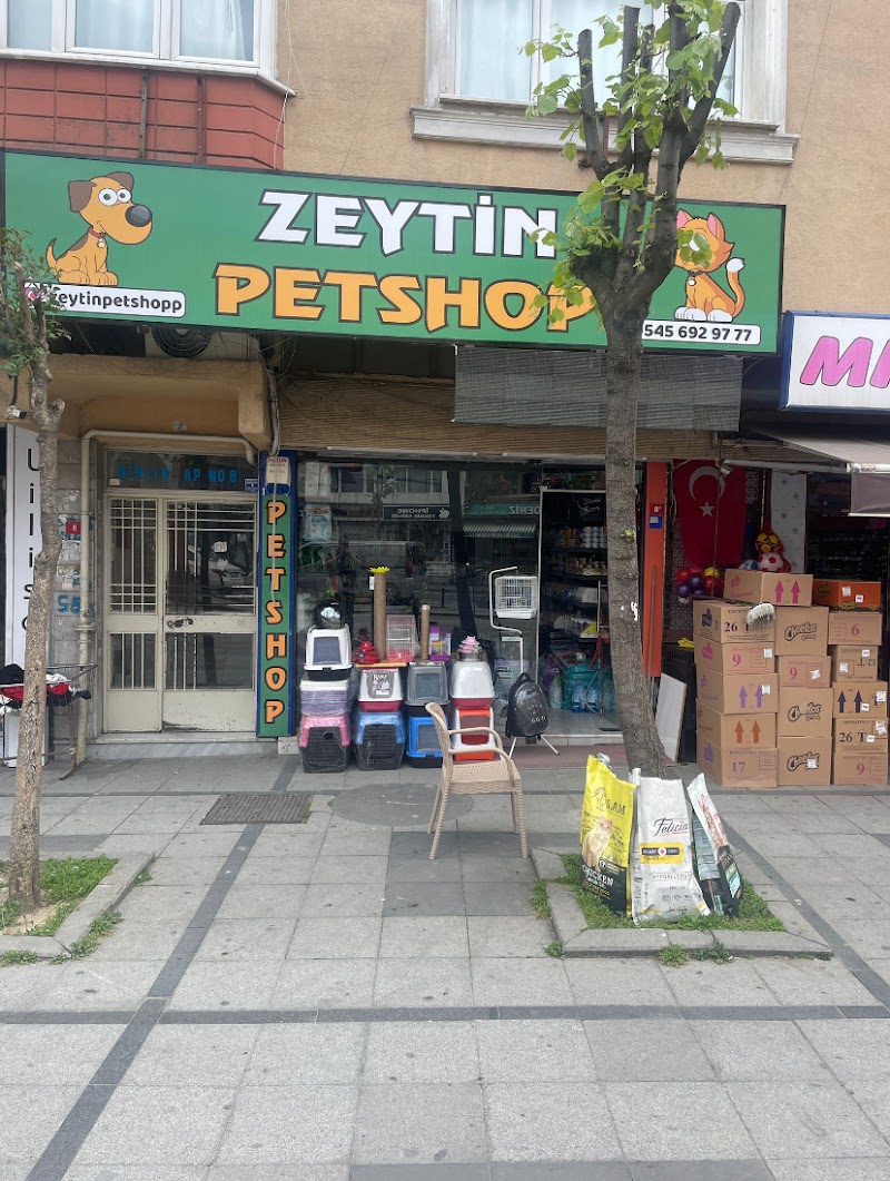 WhatsApp ile iletişim