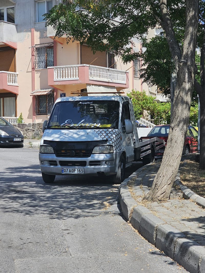 WhatsApp ile iletişim