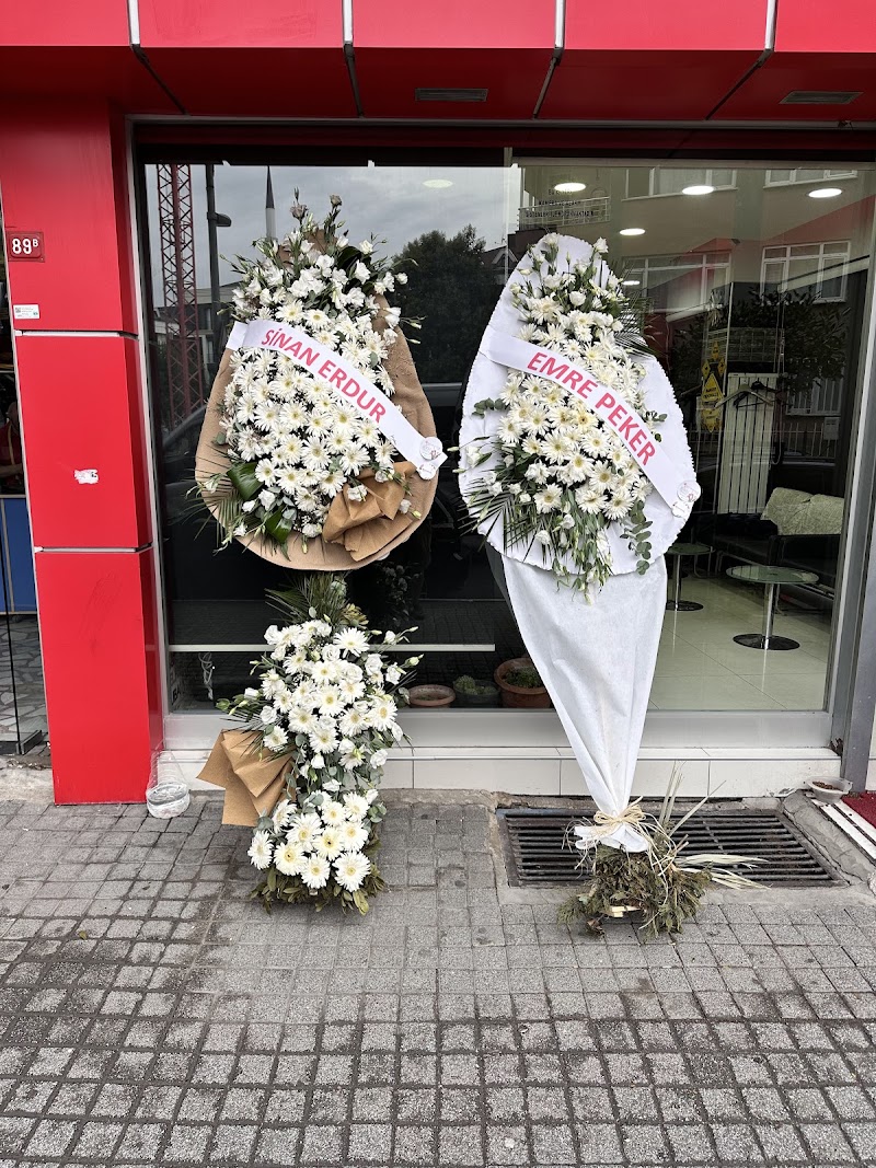 WhatsApp ile iletişim