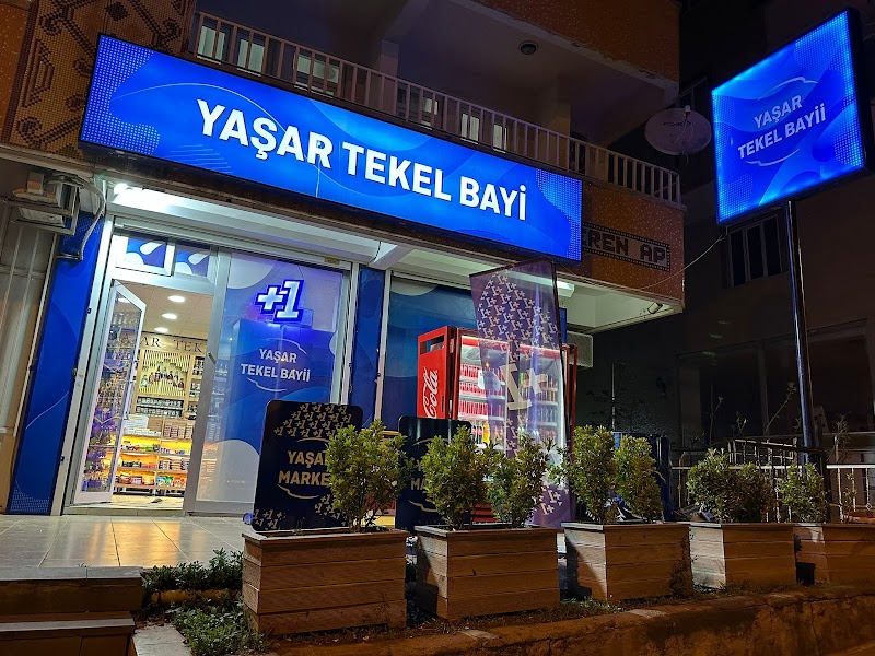 WhatsApp ile iletişim